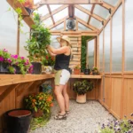 Cedar Wood Greenhouse with Polycarbonate Panels – Outdoor Garden Shed with Pergola Entrance - Image 4